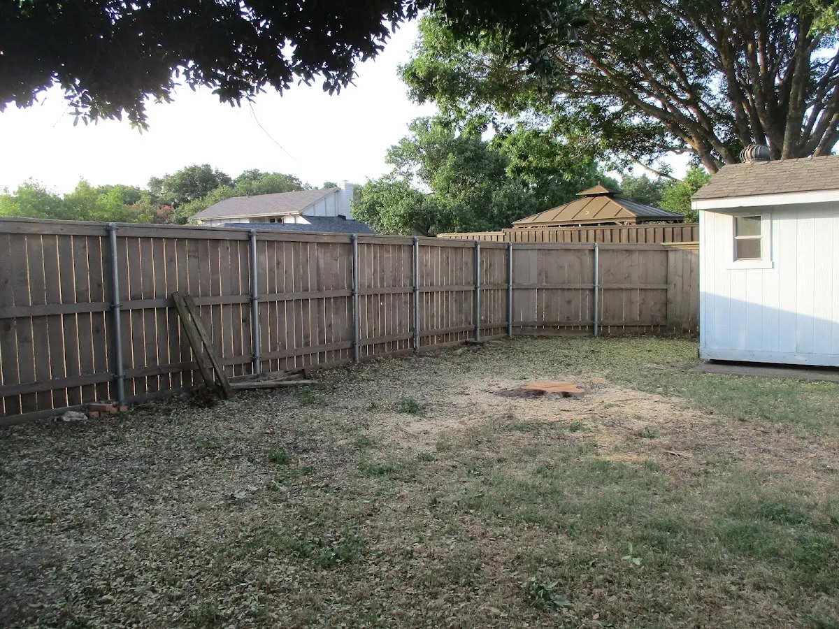 Cleared yard after professional tree removal in Wallins Creek
